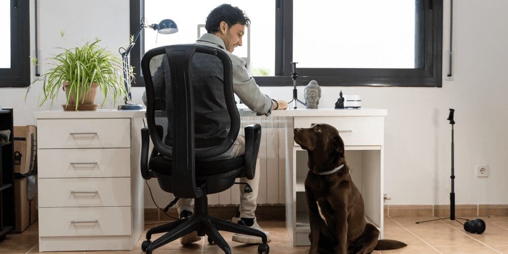 Man working from home looking at his dog