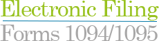 elec-filing-form-10941095
