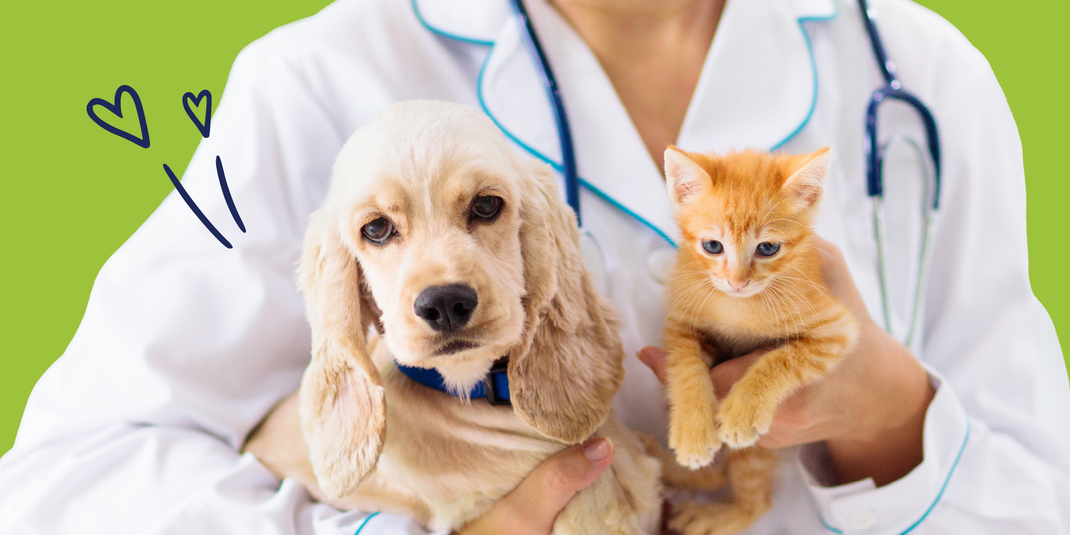 vet holding a cat and a dog
