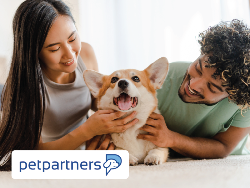 A smiling man and woman hold a dog together, showcasing a joyful moment of companionship.