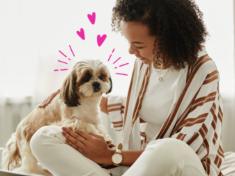 photo of woman working with her dog nearby